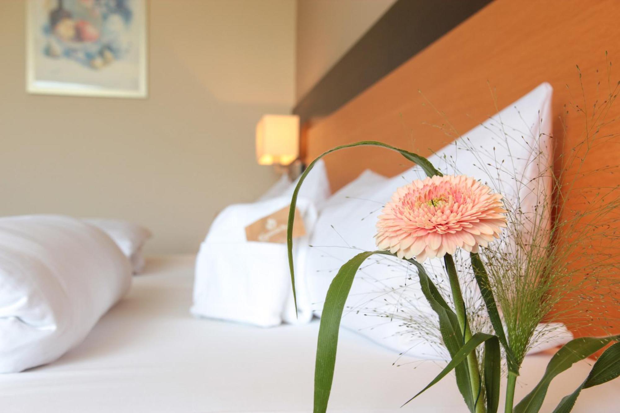 Hotel Leinsweiler Hof Extérieur photo